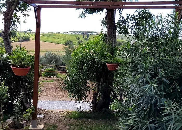 Poggio La Lodola